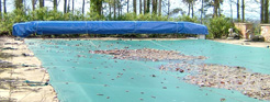 Roller Storage Cover (Blue)