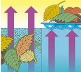 Saving Chemicals