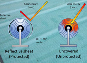 How you can extend the life of your pool cover